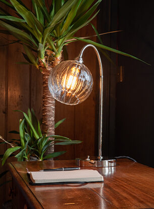 This globe table lamp with nickel metal finish makes a super desk lamp and is shown next to a household plant.